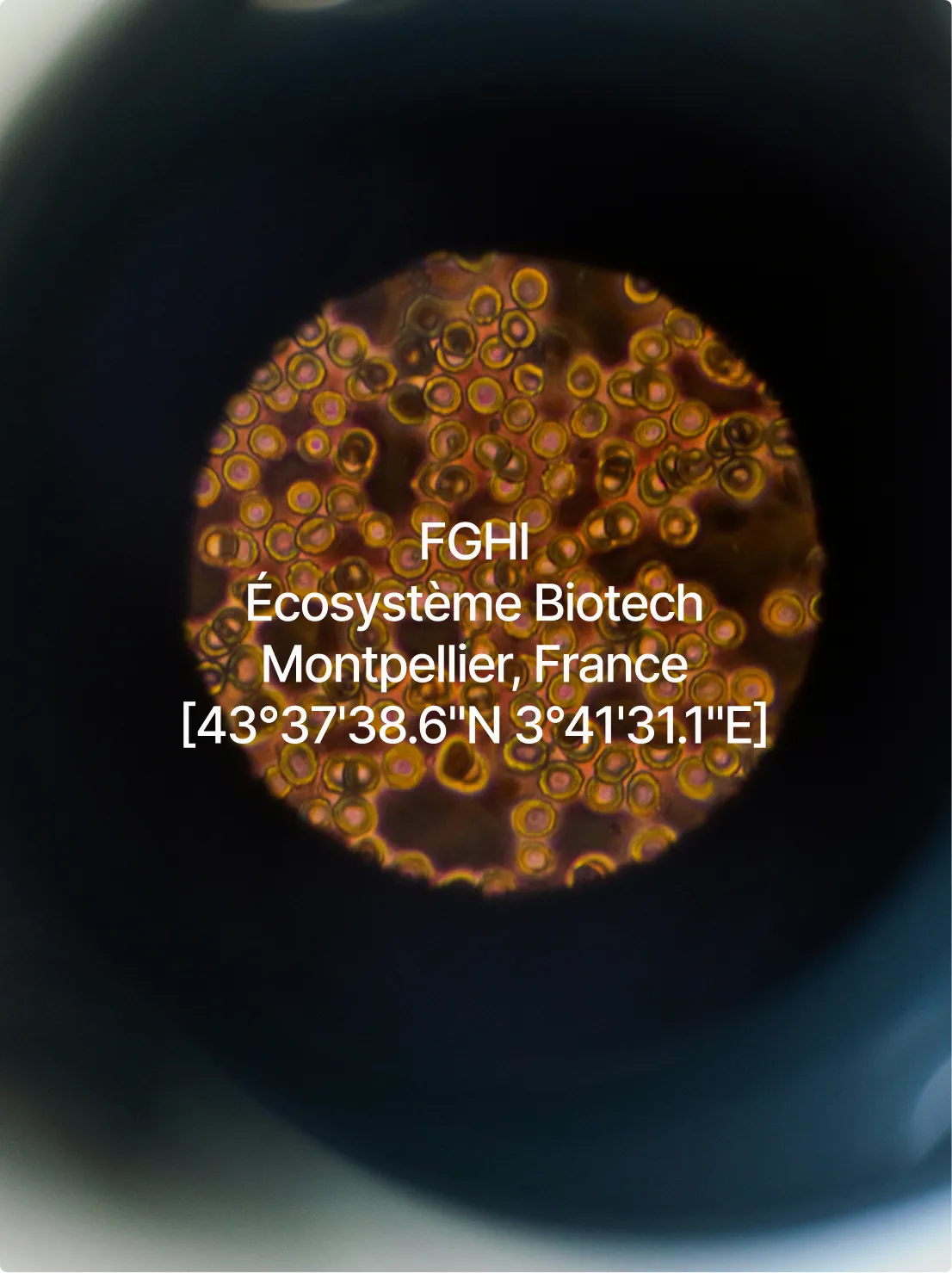 FGHI, Écosystème Biotech, Montpellier, France, over a microscope view